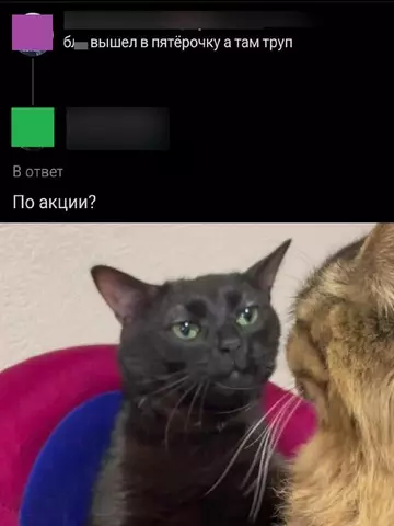 Смешная картинка №766829