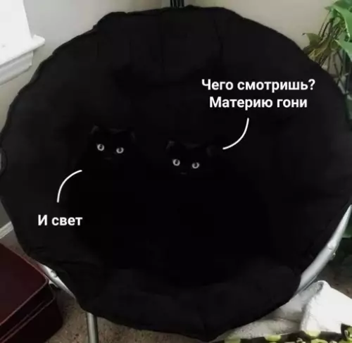 Смешная картинка №718562