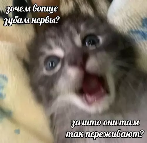 Смешная картинка №786177