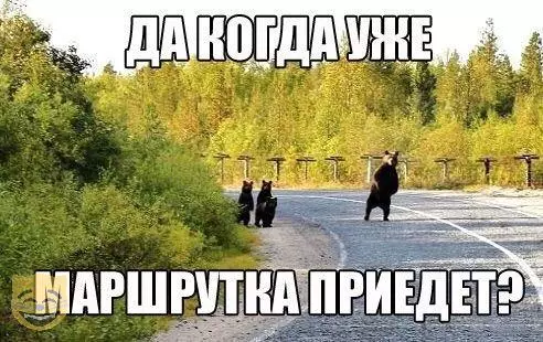 Смешная картинка №318226