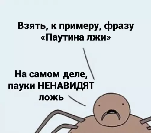 продолжение Смешная картинка №581650 Пayки любят прaвду