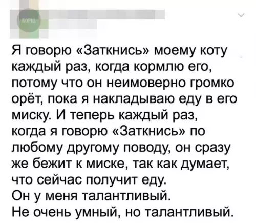 Смешная картинка №244794