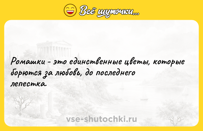 Цитата: Ромашки - это единственные цветы, которые борются за любовь, до последнего лепестка.