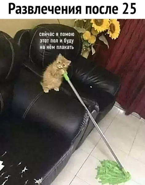 Смешная картинка №536793 Так и живем