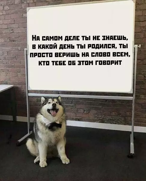 Смешная картинка №442202