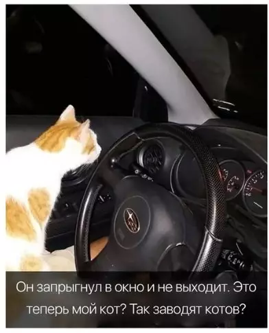 Смешная картинка №274046