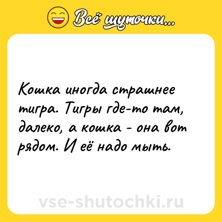 Шутка: Кошка иногда страшнее тигра. Тигры где-то там, далеко, а кошка - она вот рядом. И её надо мыть.