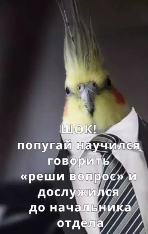 Смешная картинка №715459