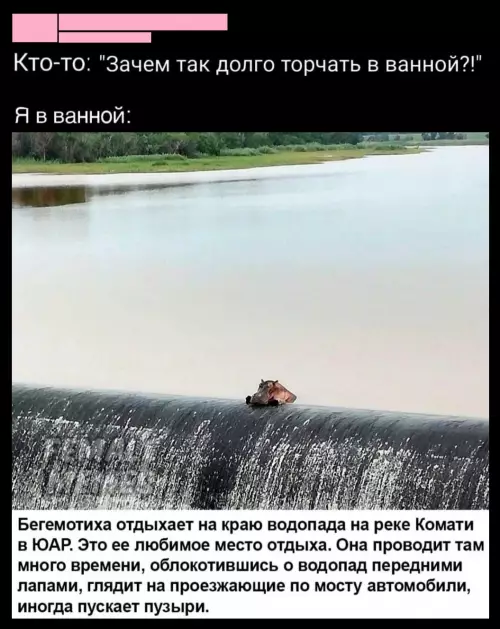 Смешная картинка №773623