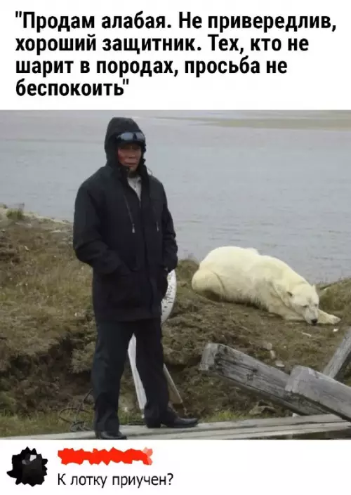 Смешная картинка №694489