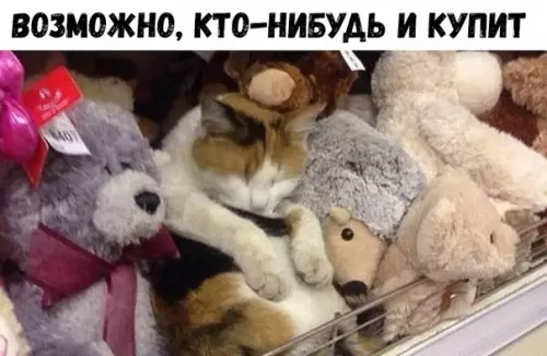 Смешная картинка №326813