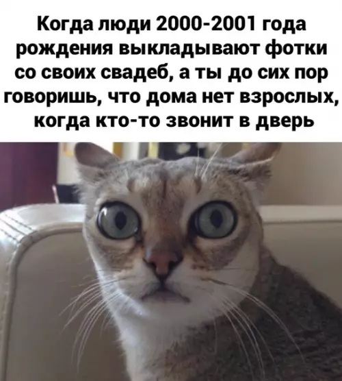 Смешная картинка №457090 И aлкоголь тебе не продают