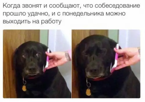 Смешная картинка №362198 А у тебя лапки