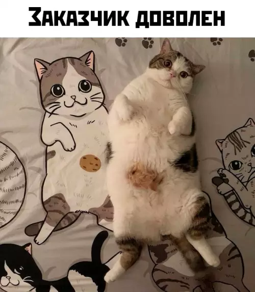 Смешная картинка №774659
