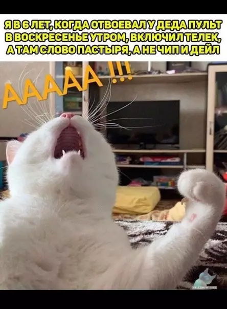 Смешная картинка №375504