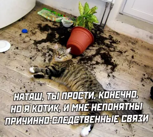 Смешная картинка №563549