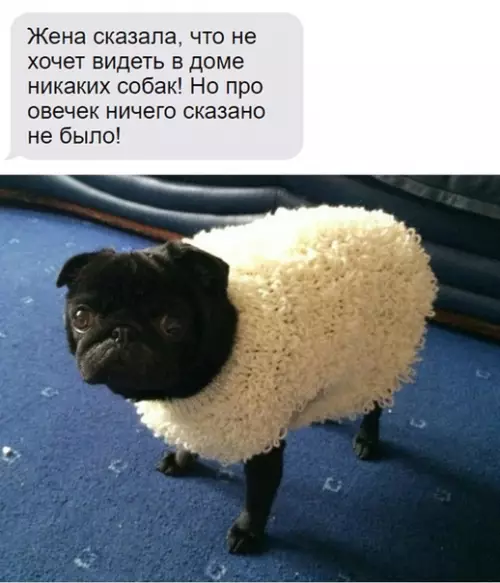 Смешная картинка №452258 Я что один вижу здесь доширак?