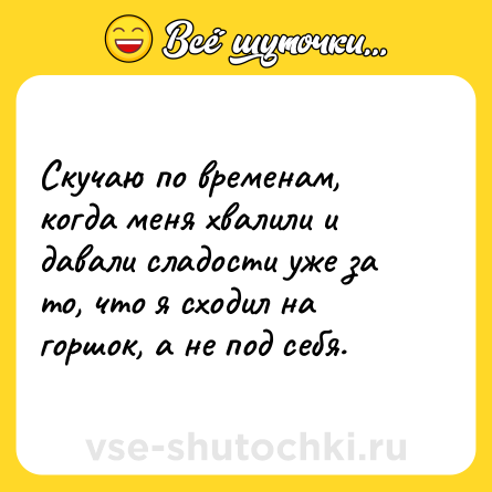Шутка: Скучаю по временам, когда меня хвалили и давали сладости уже за то, что я сходил на горшок, а не под себя.