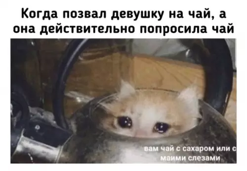 Смешная картинка №489331