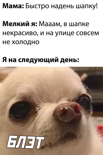 Смешная картинка №545171