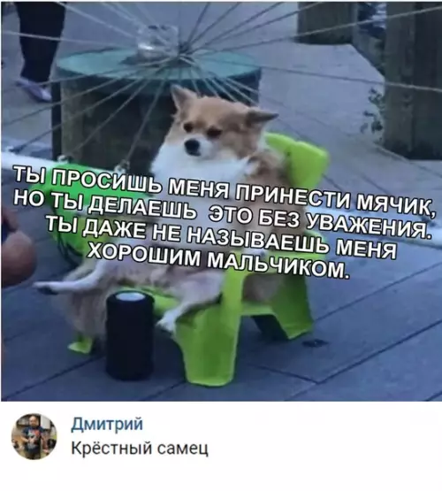 Смешная картинка №323657