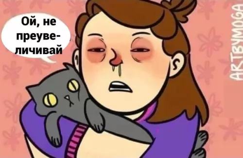 продолжение Смешная картинка №579687 Притягательность котовья может лишить рассудка