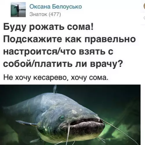 Смешная картинка №357091