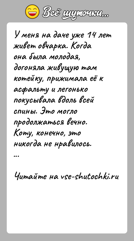 История: У меня на даче уже 14 лет живет овчарка. Когда она была молодая, догоняла живущую там котейку, прижимала её к