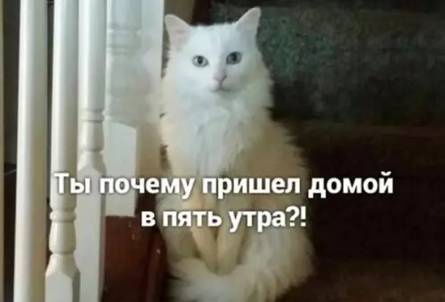 Смешная картинка №578025 Жизa
