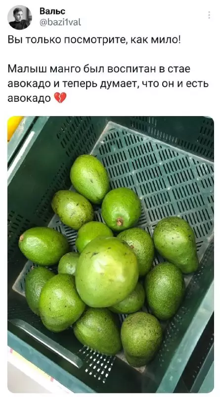 Смешная картинка №683536