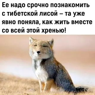 продолжение Смешная картинка №701107