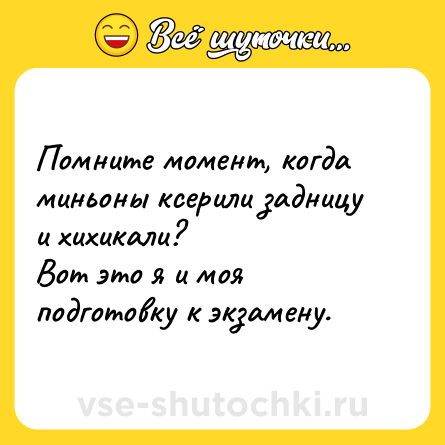 Шутка: Помните момент, когда миньоны ксерили задницу и хихикали?Вот это я и моя подготовку к экзамену.