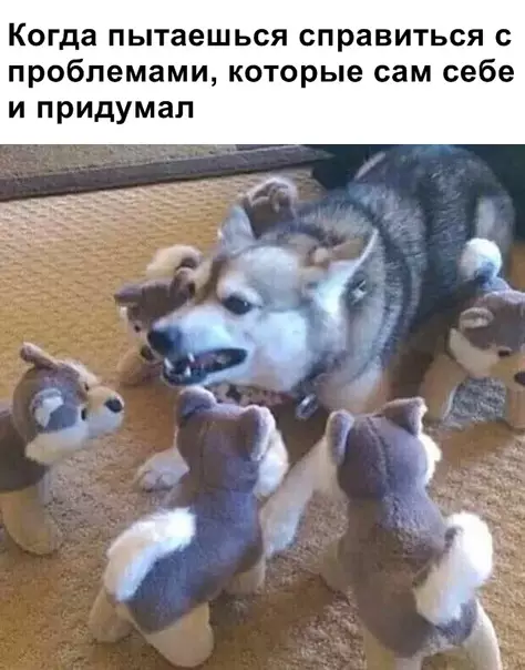 Смешная картинка №343963
