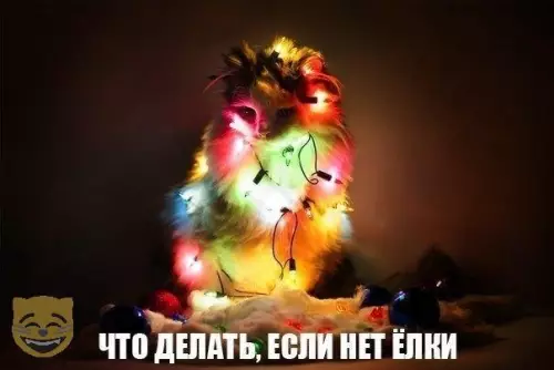 Смешная картинка №322533