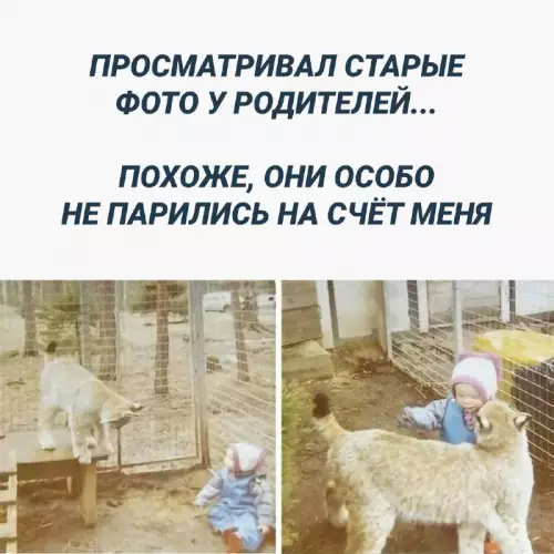 Смешная картинка №701664 Дети