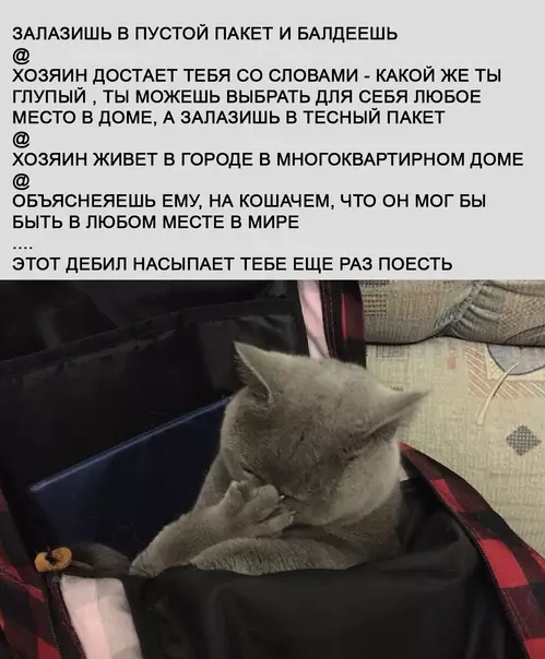 Смешная картинка №541799 Трудности понимания