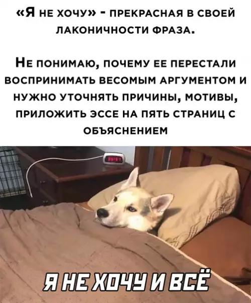 Смешная картинка №548738