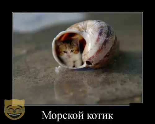 Смешная картинка №324502