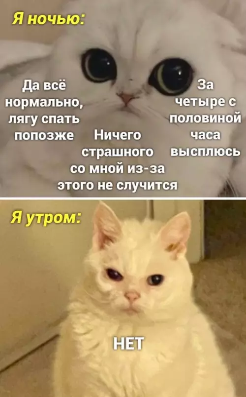 Смешная картинка №724402