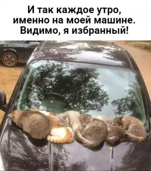 Смешная картинка №628471