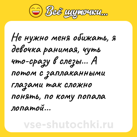 Шутка: Не нужно меня обижать, я девочка ранимая, чуть что-сразу в слезы… А потом с заплаканными глазами так сложно понять, по кому попала лопатой…