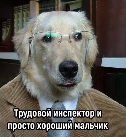 продолжение Смешная картинка №678391