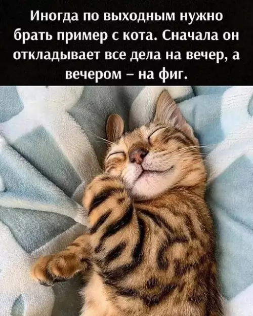 Смешная картинка №644345