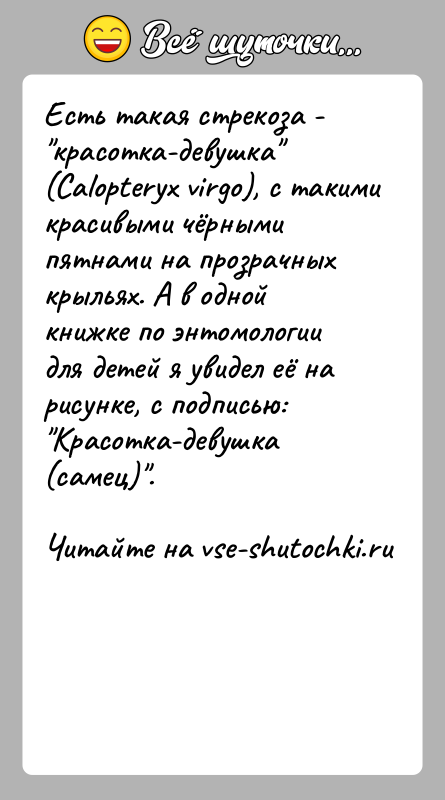 История: Есть такая стрекоза - красотка-девушка (Calopteryx virgo), с такими красивыми чёрными пятнами на прозрачных крыльях. А в одной книжке по