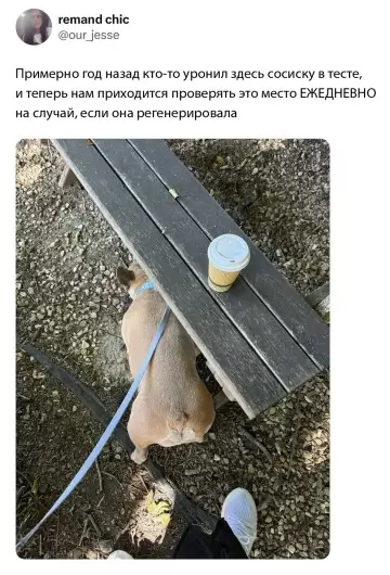 Смешная картинка №784567