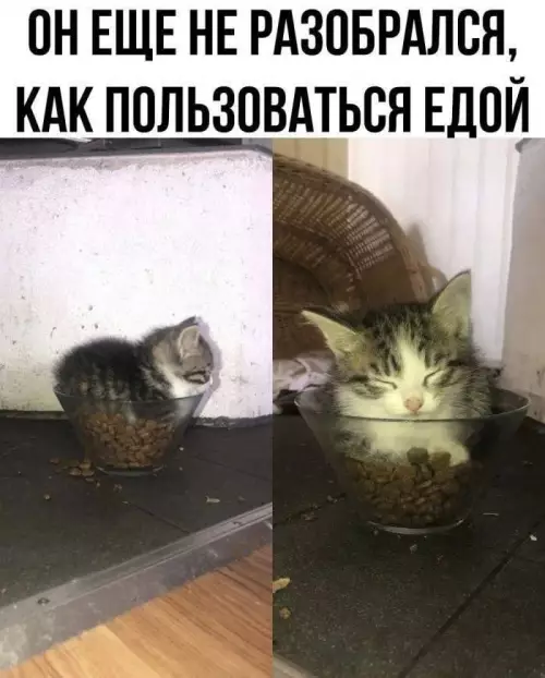 Смешная картинка №790669