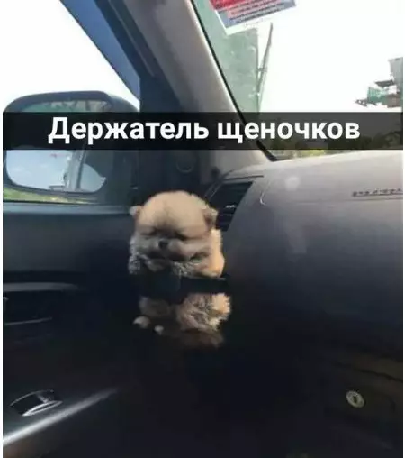 Смешная картинка №245948
