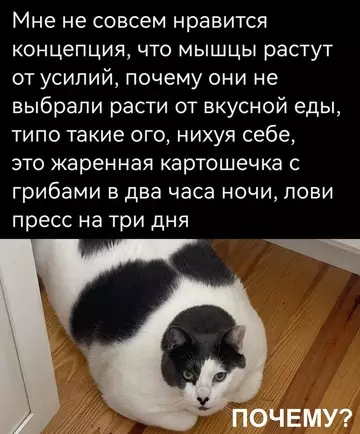 Смешная картинка №775128