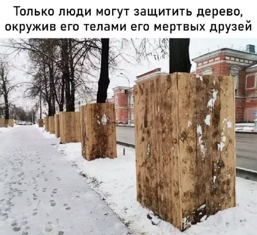 Смешная картинка №677099