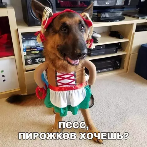 Смешная картинка №201602